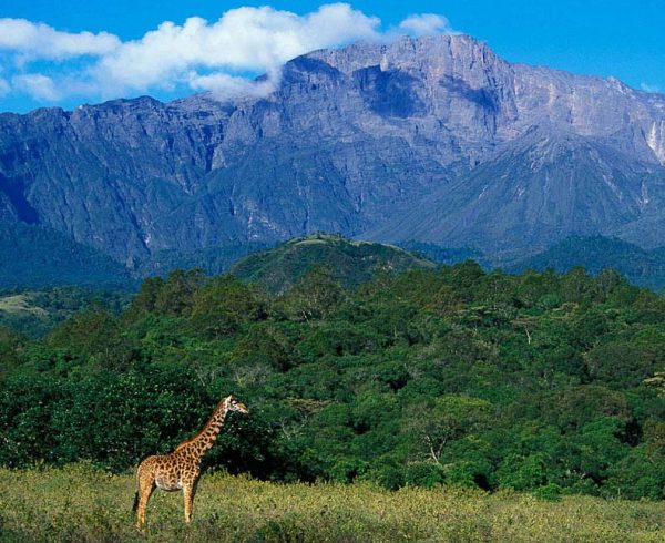 Arusha National Park 1