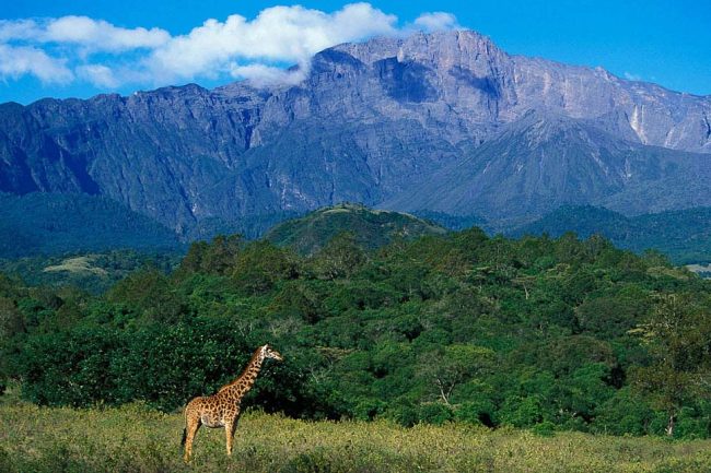 Arusha National Park 1