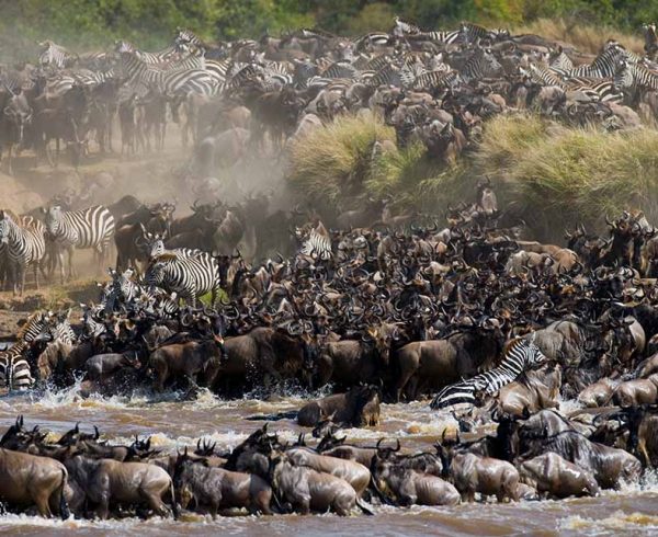 great migration 1