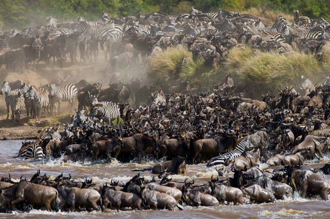 great migration 1