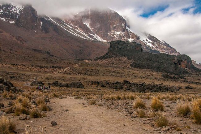 29483568 - group heading up to lava tower on the machame route of kilimanjaro