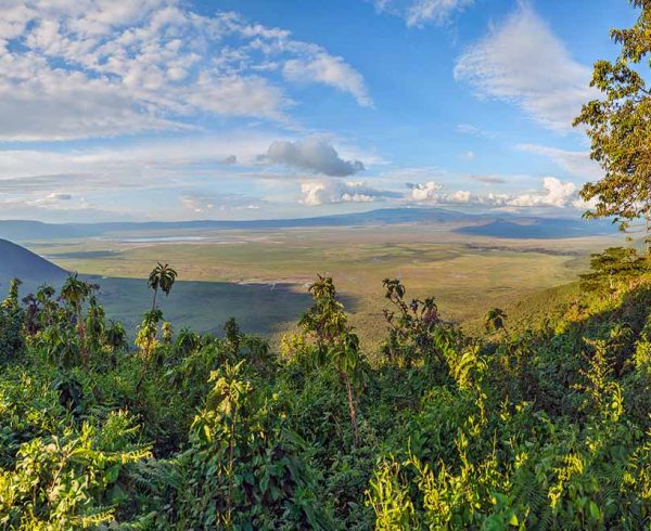 ngorongoro 1