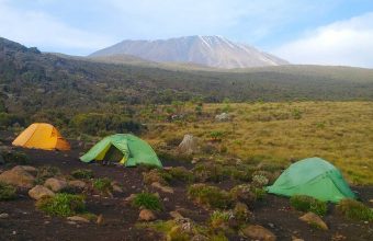 kilimanjaro 9