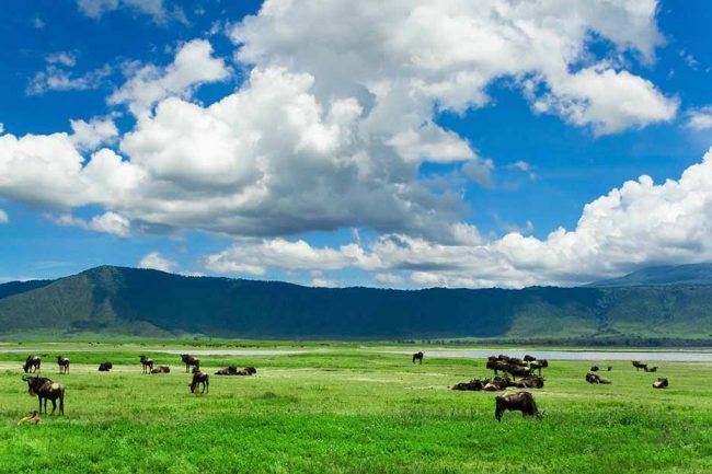 ngorongoro 2