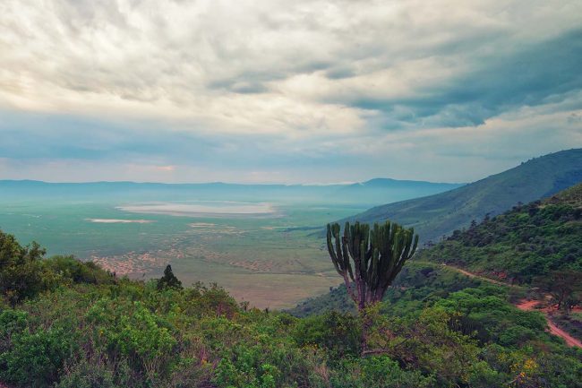 Ngorongoro crater